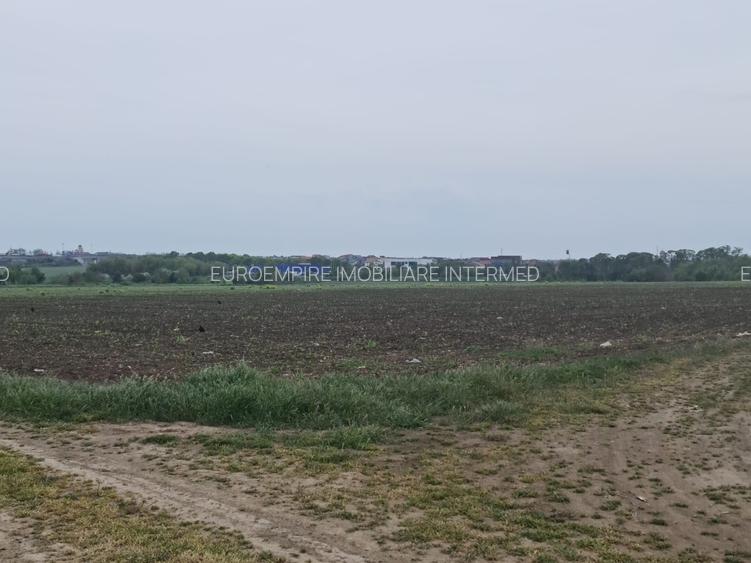 Teren de vanzare Lazu zona Logistic Park - 6