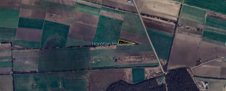 5.500mp teren ideal investitie - 3