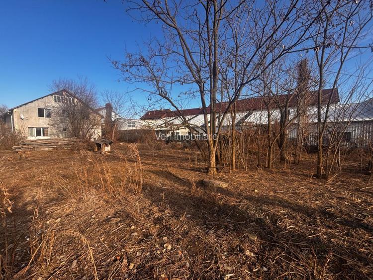 Teren + Cladire in Viisoara - 4