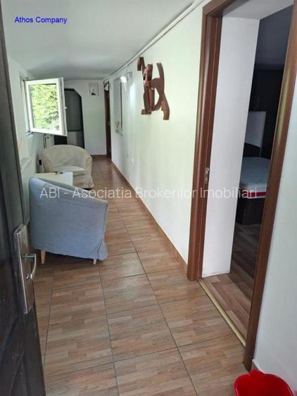 Bdul Ion Mihalache- Pta Chibrit - 10