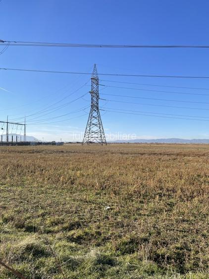 Teren intravilan Triaj - 3