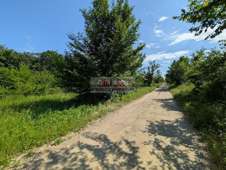VANZARE TEREN, Sat.Balteni, com. Peris, Padurea Scrovistea, jud IIlfov - 4