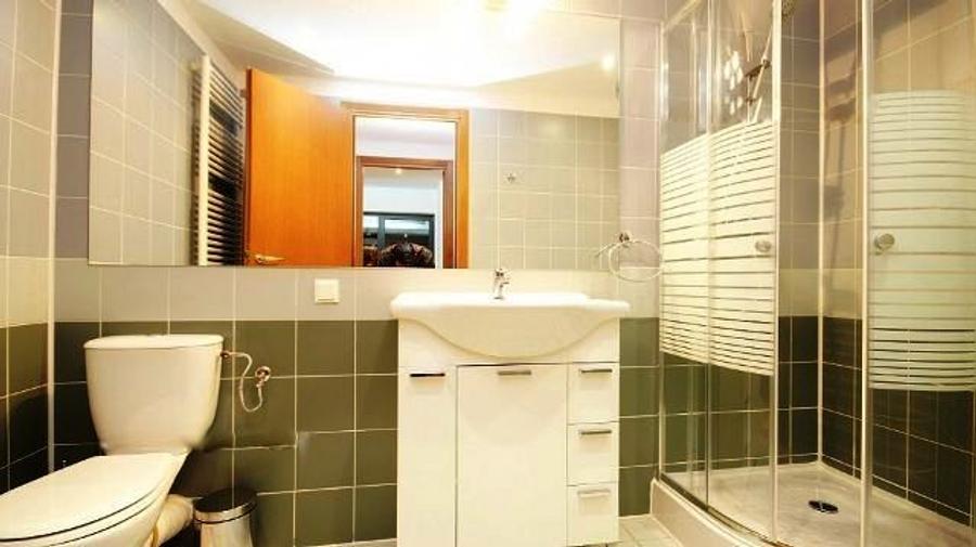 Apartament nemobilat Herastrau