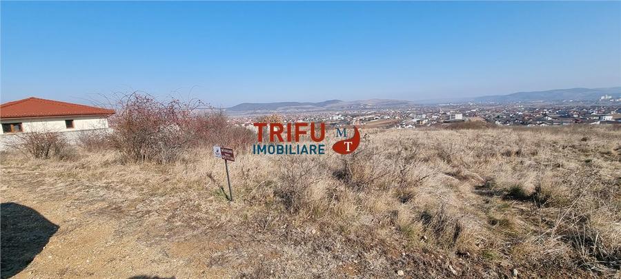 Teren Intravilan cu Priveliste Spectaculoasa în Alba Micesti - 660 mp