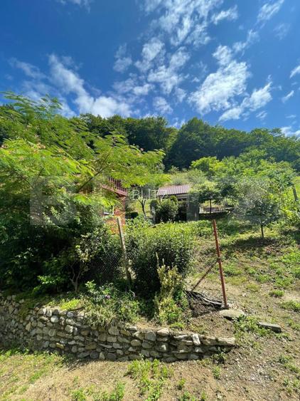Casa de vacanta cu 4 camere, 1470 mp teren, Sugag - 8