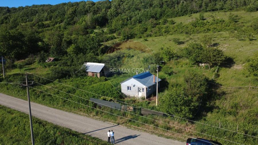 Casa de vanzare in Valea Salciei