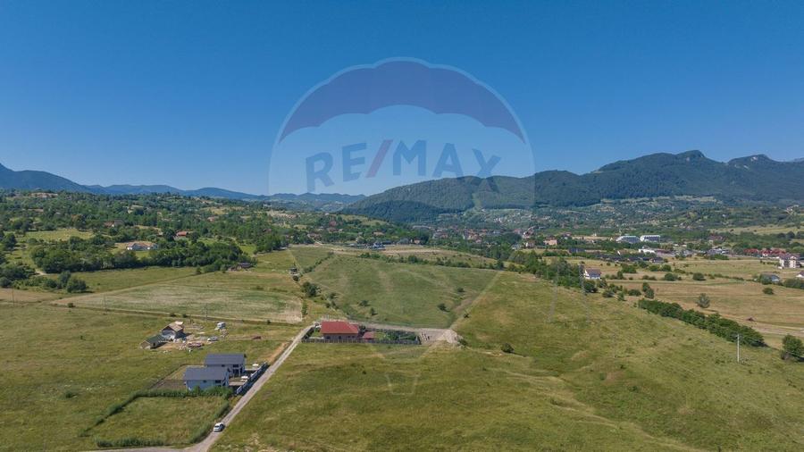 Teren Tohanu Nou, intrare Sohodol, 4800mp
