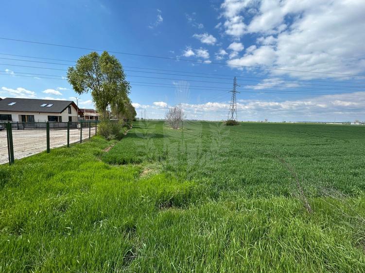 TEREN INTRAVILAN//ZONA CARTIER ROUA PLOIESTI