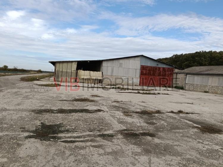 Ferma Agricolă 1.350 Hectare – Grad de Comasare 96–97%, Chișineu Criș, Județul A