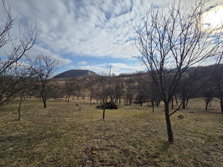Teren intravilan, 3800 mp, ideal investitie - zona turistica , Moigrad