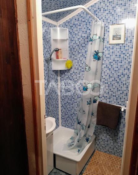 Casa de vacanta curte libera de 640 mp de vanzare in Tropinii Noi - 10