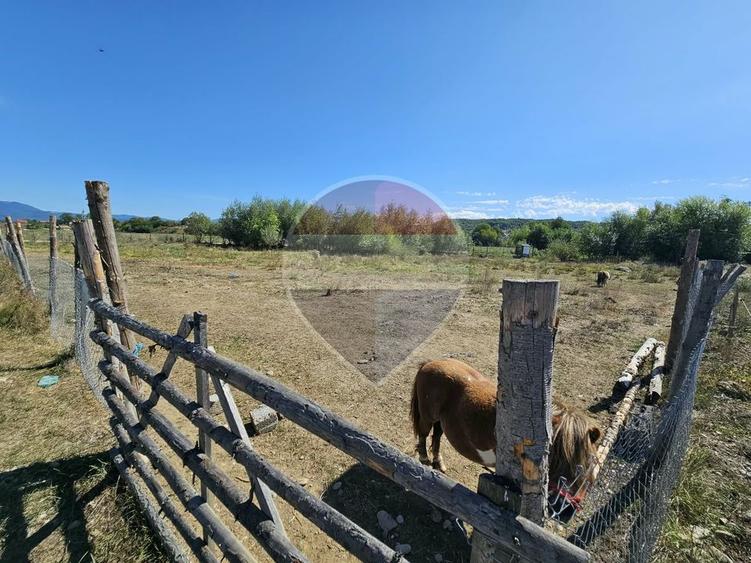 Teren 3,000mp Tisa / Drumul Laga lac