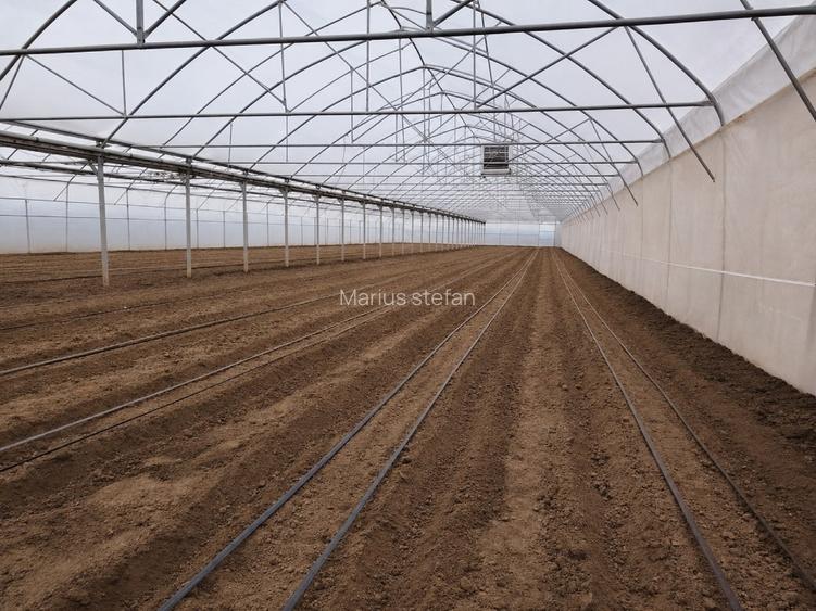 Proprietate cu afacere agricola la cheie - 2