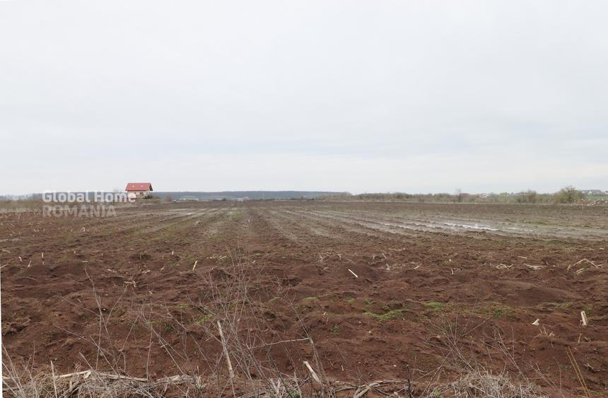 Teren 4000 mp lângă Pădurea Petrești | Investiție dezvoltare | Corbeanca