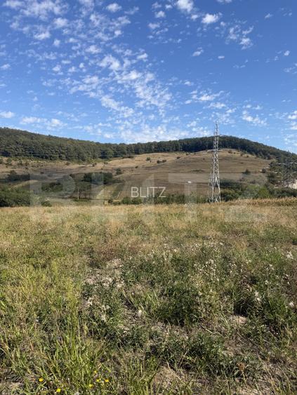 Teren intravila de vanzare, 5.595 mp, zona Ortelec - 3