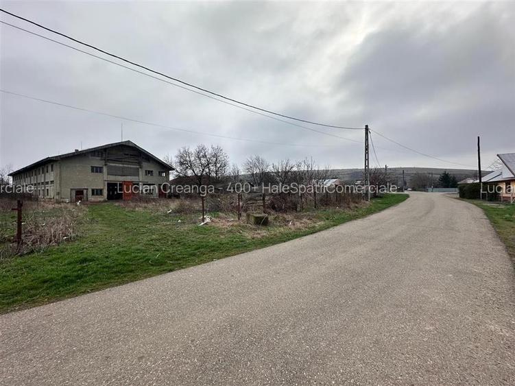 Hala, spatiu comercial, vad, de la 423mp la 1744mp, Vama Albita - 16