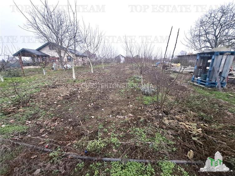 Teren Intravilan Moara Vlasiei 963 mp, Zona Superba, - 5
