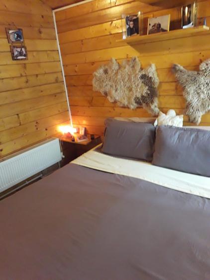 Apartament cu curte proprie FALEZA NORD