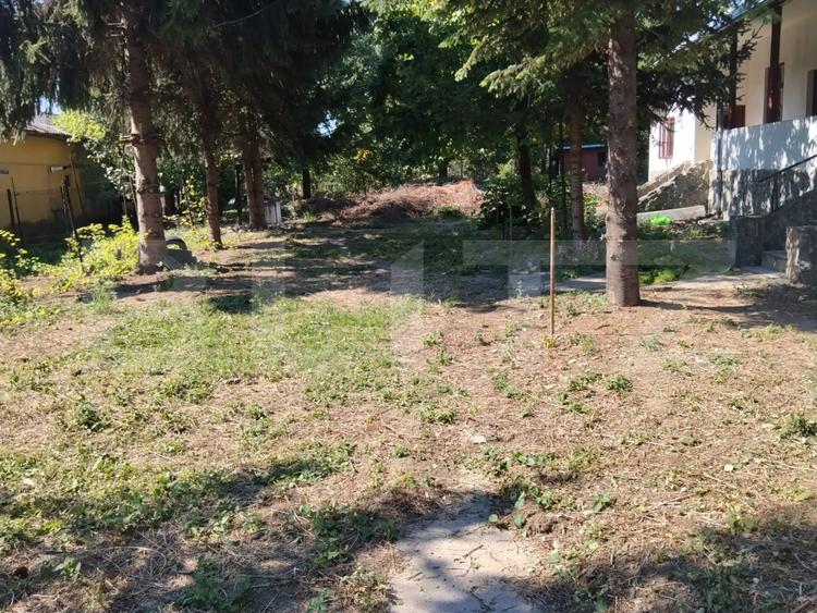 Casă renovată cu farmec istoric, livadă și 3.600 mp de teren | Teiș