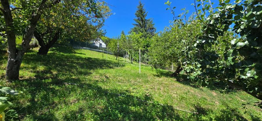 Casă de vânzare, zona Ana Ipătescu, în exclusivitate