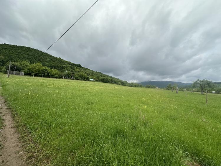 Teren cu priveliște deosebită, 2000mp în Fântânele