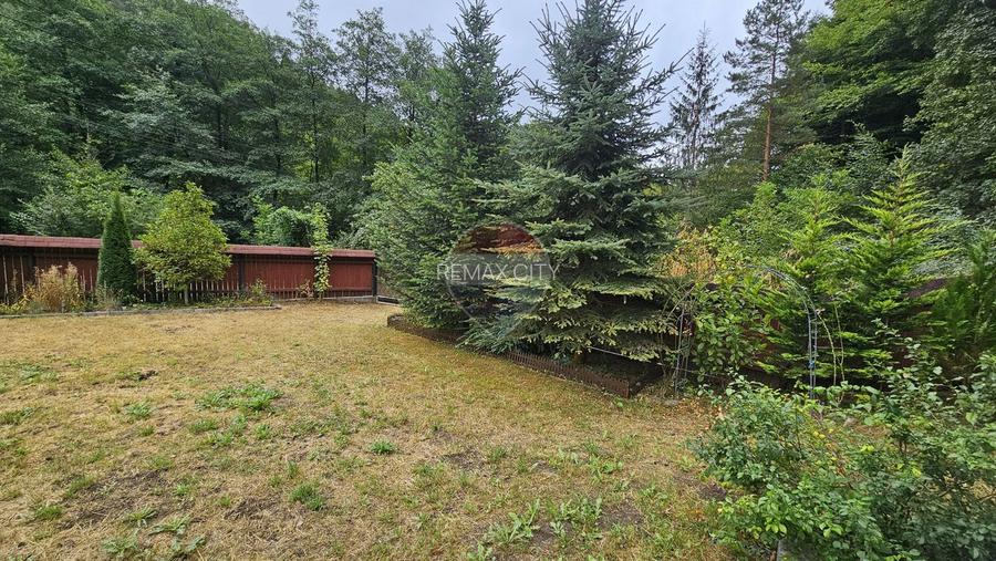 Căsuță de vacanță de vânzare – comuna Alexandru cel Bun, Neamț - 7