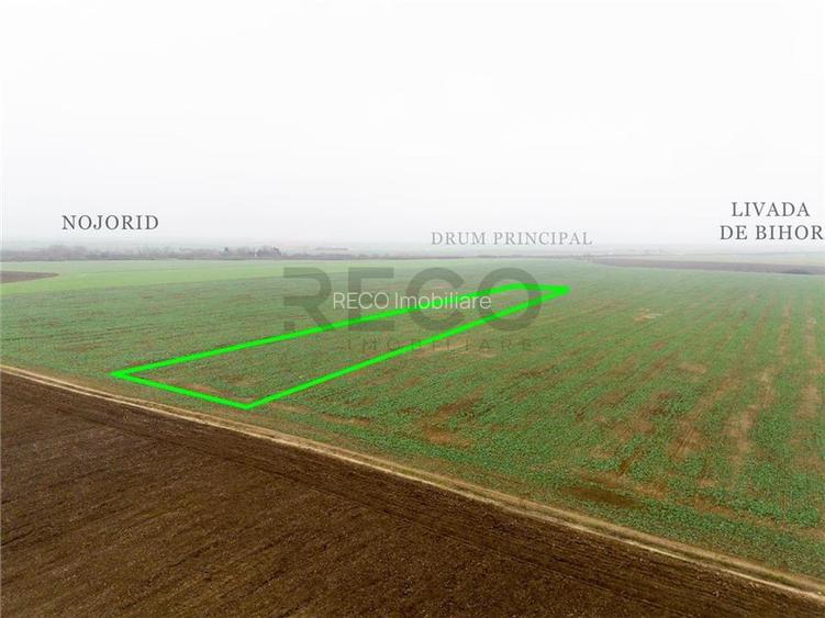 RECO Teren extravilan 5800 mp Livada de Bihor - 10