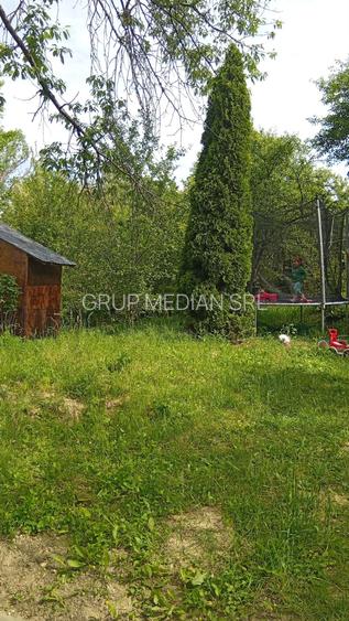 Proprietate de vanzare in Golești - 10800 mp teren și două case - 6
