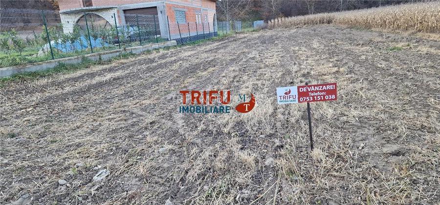 Teren Intravilan în Ampoița 1000mp - 8