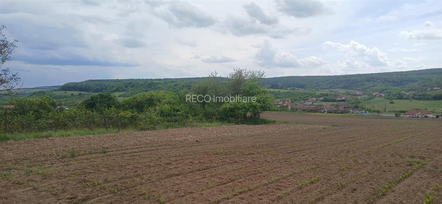 RECO Teren intravilan Hidiselul de Jos langa padure - 2