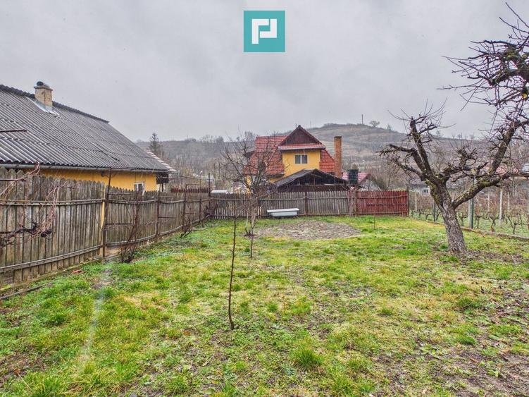 Vilă stil montan, 270 mp, teren 3000 mp