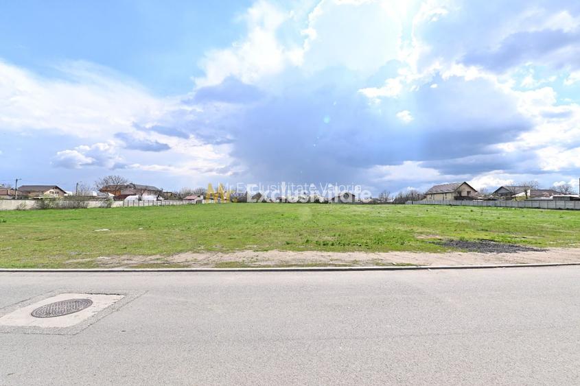 Oportunitate de investitie - Teren Intravilan 13504 mp intre case - 5