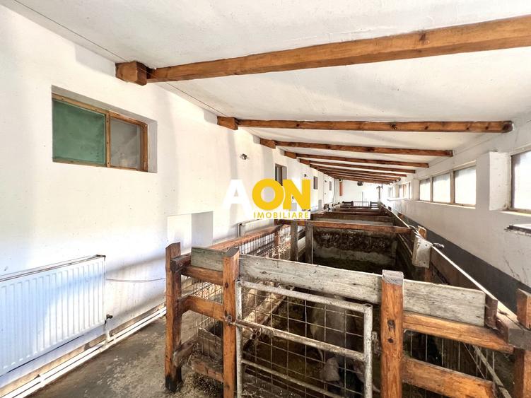 Ferma de vanzare cu 550MP utili si 27.500MP teren la asfalt