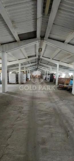Spatiu Industrial - Zona Autostrazii A3 - Curte / Parcari