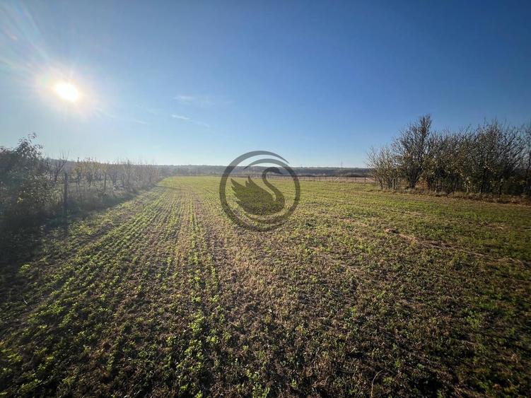 Teren intravilan de vanzare | 12.650 mp | Ghirdoveni | Comision 0%