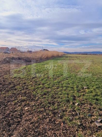 Teren intravilan, 8700mp,Prejmer - 3