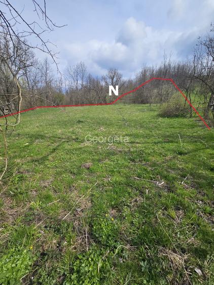 Vand Teren Intravilan in localitatea Slanic, judetul Prahova - 9