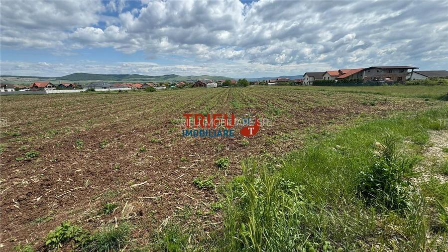 Teren Intravilan construibil de 2740 mp în Micești, Alba Iulia - 3