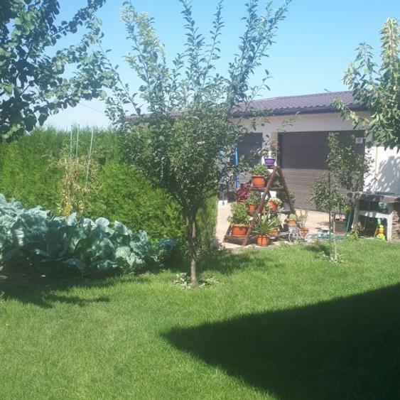 Casă P+1 de vânzare în Ovidiu Sud – 3 dormitoare, 3 garaje, teren 552 mp