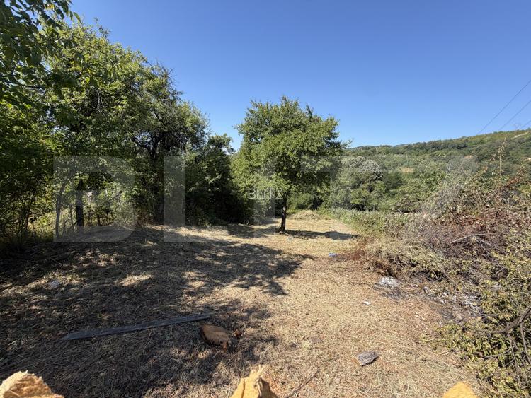 Teren de vanzare, 1600 mp, zona Schela - 5