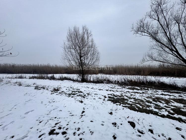 Teren 887mp Snagov | utilitati la gard, in curs autorizare ponton, curte privata - 3