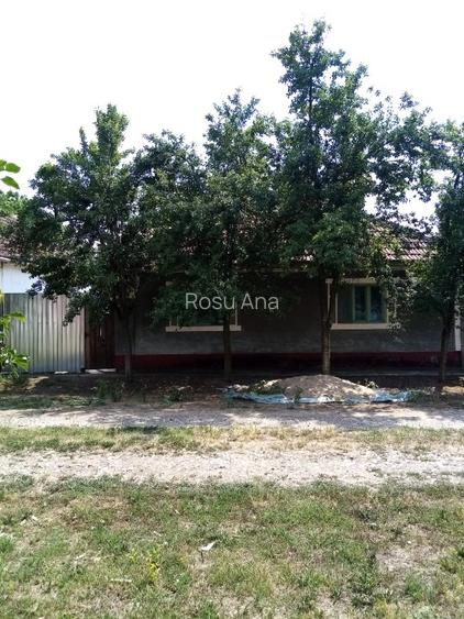 Vand casa cu 3 camere in Zerindul Mic Comuna Misca Jud ARad - 6