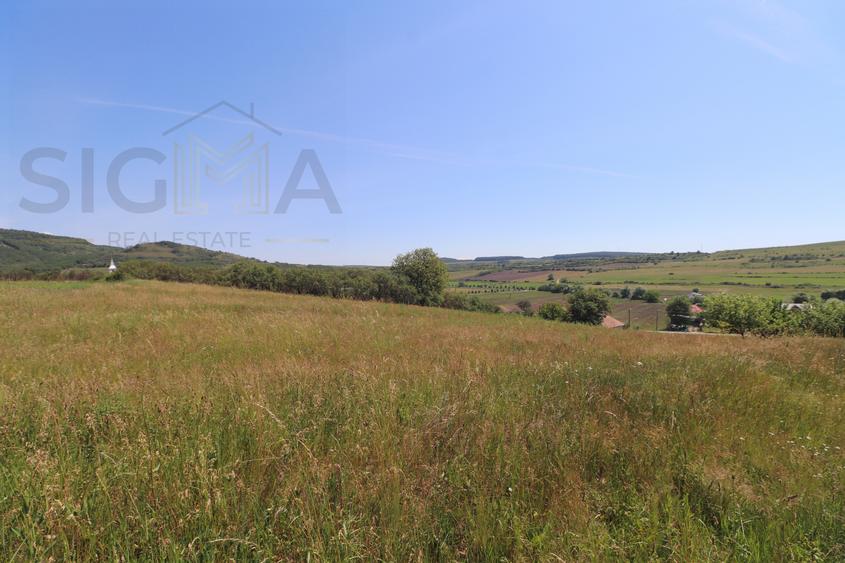 Teren intravilan de vanzare – 3.800 mp – Babutiu, jud. Cluj
