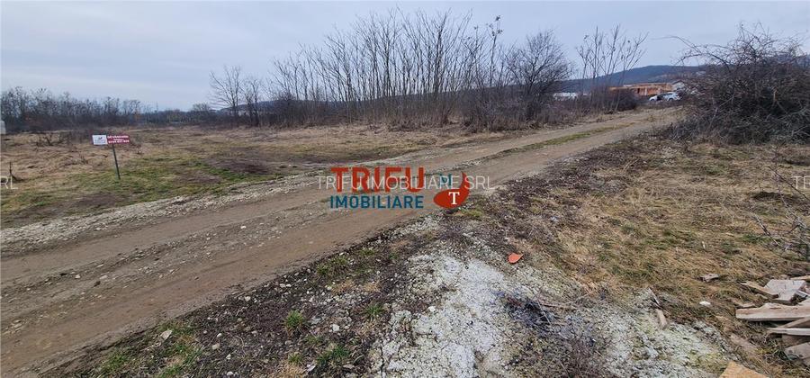 Teren pentru casă în zona Podei 1091mp - 7