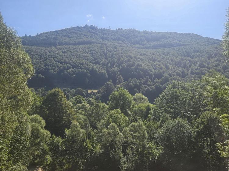Teren Valea Doftanei, zona Pe Vale - Baraj Paltinu