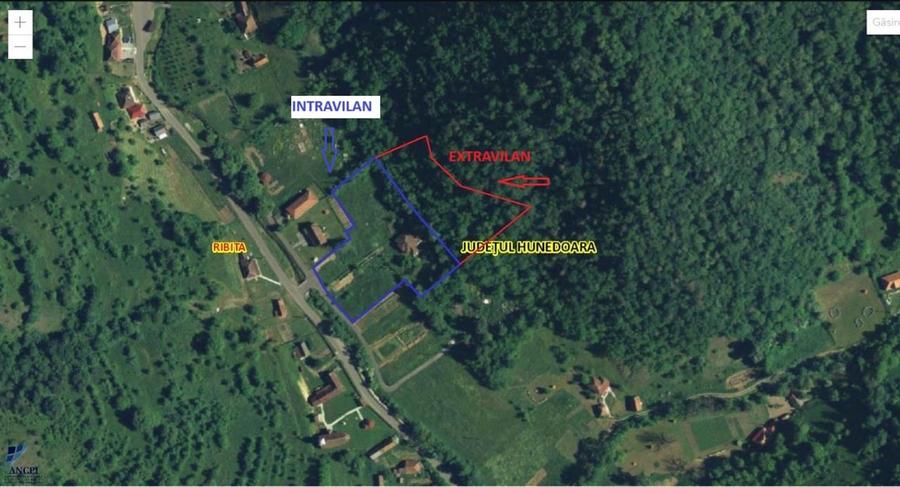 Teren, padure si casa in Dumbrava de Jos, jud. Hunedoara