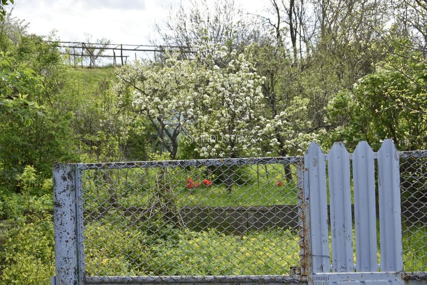 CASĂ TRADIȚIONALĂ CU GRĂDINĂ GENEROASĂ ȘI VIE – ISACCEA, JUD. TULCEA - 3