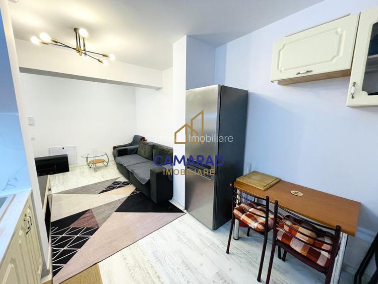 Garsonieră spațioasă tip studio în Quartz Residence - 4