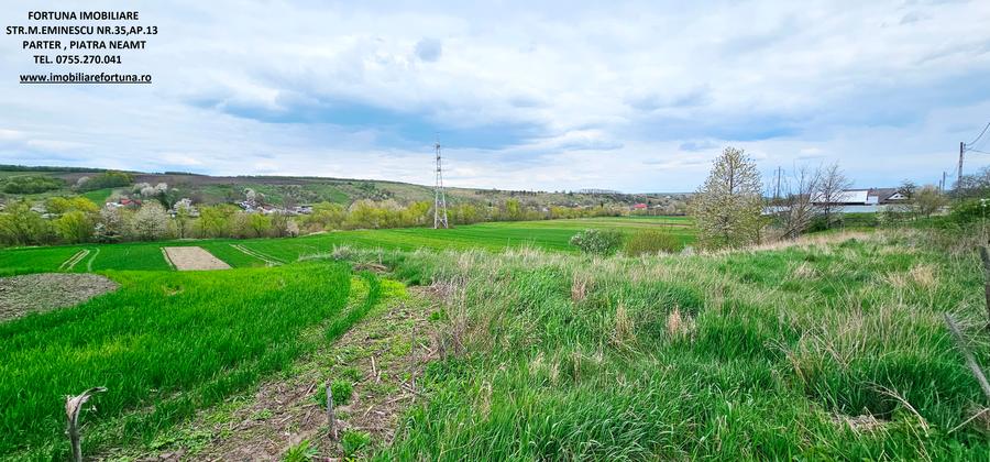 Teren intravilan 3550 mp, cadru natural pitoresc, apa si padure-Negresti