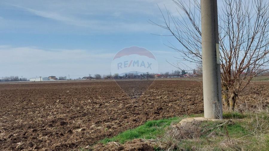 Teren 5,000mp Moara Vlasiei / Strada Morii